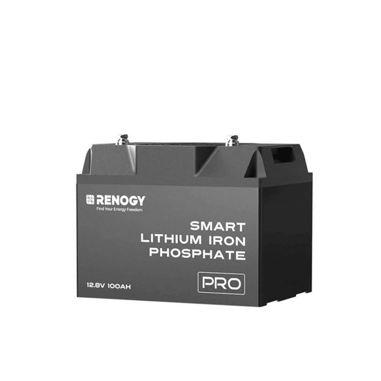 12V 100Ah Pro Deep Cycle Lithium Iron Phosphate Battery self-heating w/Bluetooth