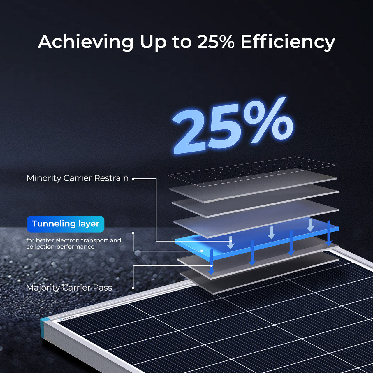 Renogy 16BB N-Type 200/100 Watt 24V Solar Panel