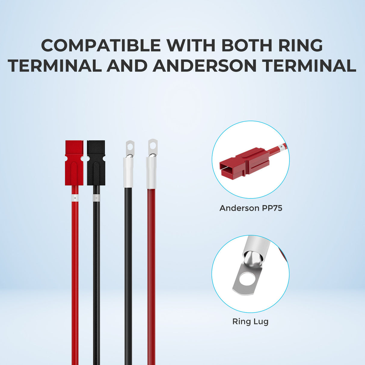 Renogy 10FT 6AWG Anderson Adapter Cable(Anderson PP75 - Ring Lug)