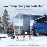 Special offer Rover Li 40 Amp MPPT Solar Charge Controller