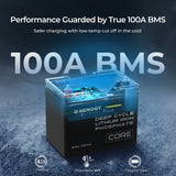 12v 100ah battery