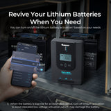 Special offer Rover Li 40 Amp MPPT Solar Charge Controller