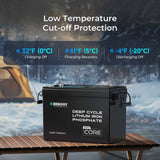 Batterie Core Mini LiFePO4 12,8 V 200 Ah avec protection basse température
