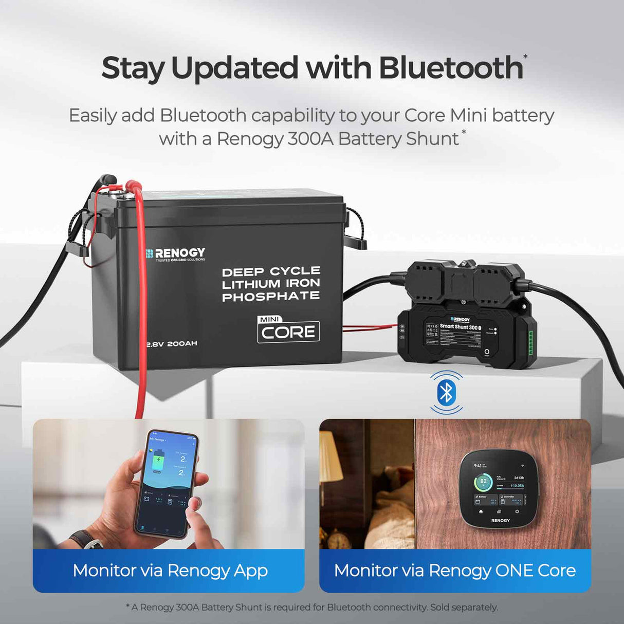 Batterie Core Mini LiFePO4 12,8 V 200 Ah avec protection basse température