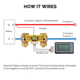 500A Battery Monitor with Shunt/Sampler (Coulomb meter)