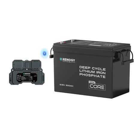 Renogy deep cycle lithium iron phosphate battery with smart shunt