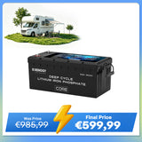 12V 300Ah Core Series Deep Cycle Lithium Iron Phosphate Battery w/Self-Heating New Version