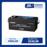 12V 300Ah Core Series Deep Cycle Lithium Iron Phosphate Battery w/Self-Heating New Version